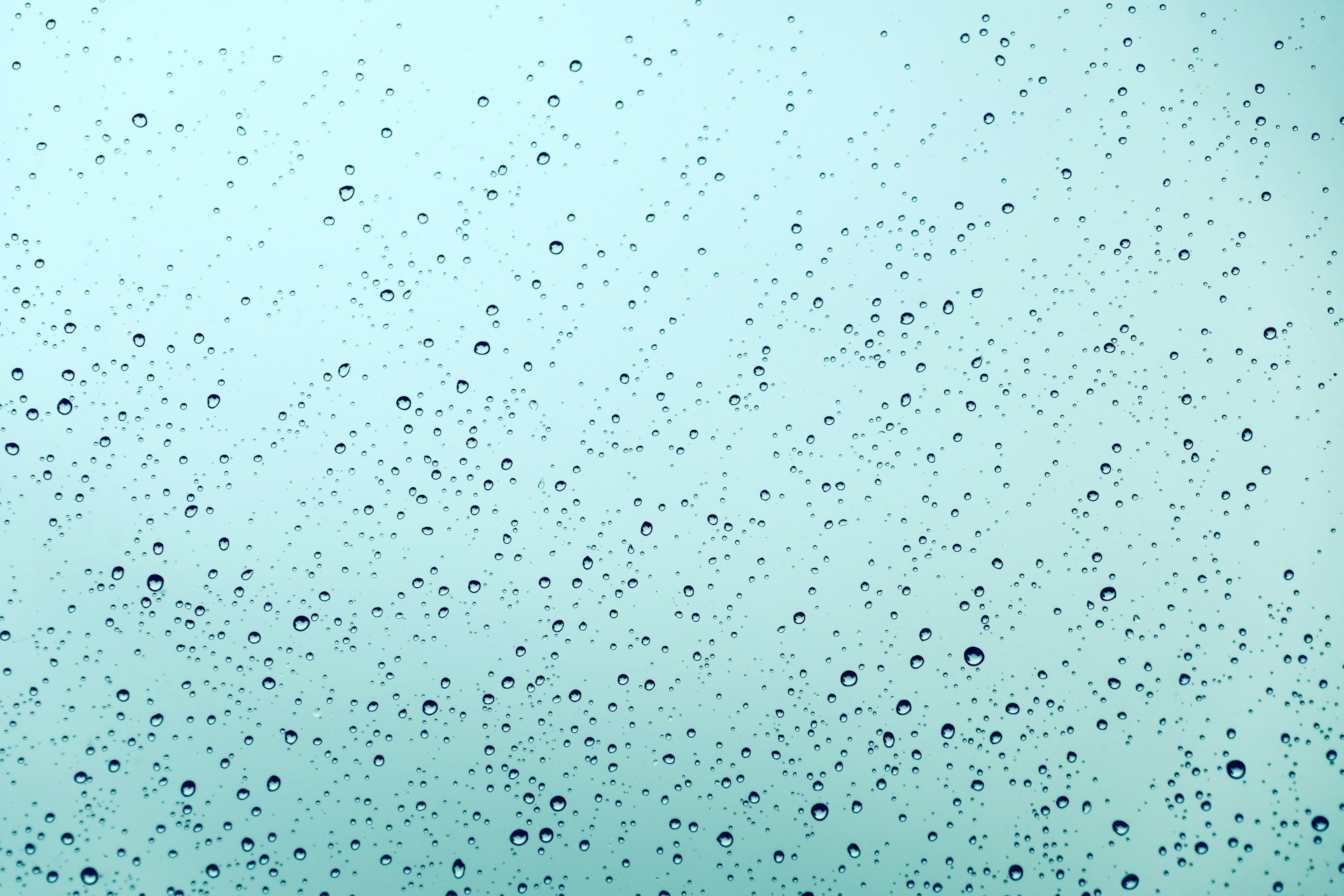 johannes-plenio-TOHDIG0UmZA-unsplash